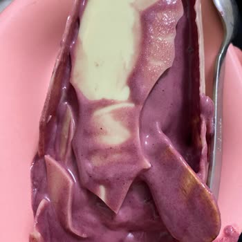 BİM Adora Dondurma Erimişti Çubukta Dondurma Nın İçine Gitmiş