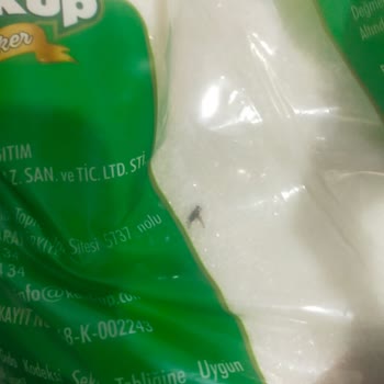 Kon Küp Şeker Kapalı Üründe Böcek Vardı