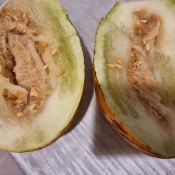 Migros'taki Bozuk Kavunlar