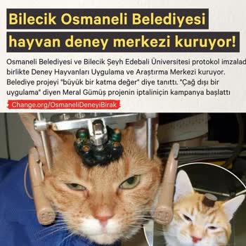 Hayvan Deneyi Bilecik Osmaneli Belediyesi