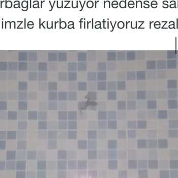 Royal Towers Hotel Kiriş'in Kötü Yönetimi