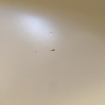 Yataş Mağazasından Aldığımız Yatakta Sorun Yaşıyoruz