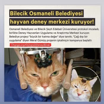 Osmaneli Belediyesi Hayvan Deneyine Hayır!