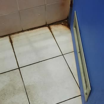 Abant İzzet Baysal Tıp Fakültesi Hastanesi Temizlik Hijyen Mikrop Yuvası