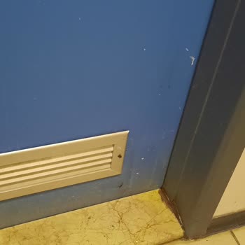 Abant İzzet Baysal Tıp Fakültesi Hastanesi Temizlik Hijyen Mikrop Yuvası