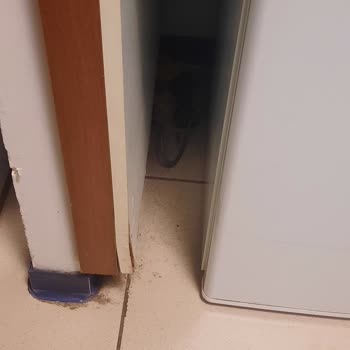 Abant İzzet Baysal Tıp Fakültesi Hastanesi Temizlik Hijyen Mikrop Yuvası