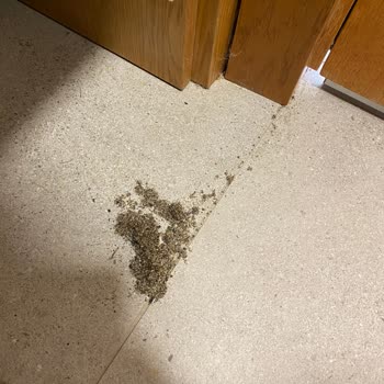 Siu Collection Hotel Oteldeki Hizmetlerden Memnun Kalmadım