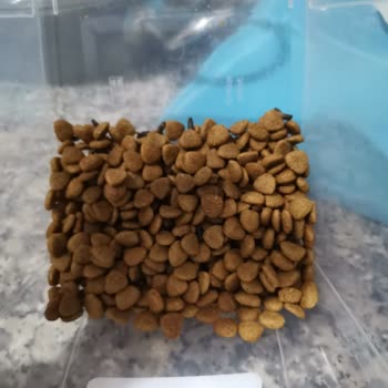 Yemcim Pazarlama Mamanın İçinde Fare Pisliği Çıkması