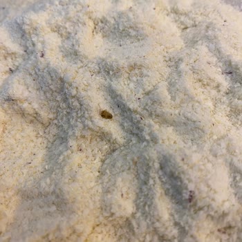 Aptamil Kaşık Mamasından Böcek Çıktı