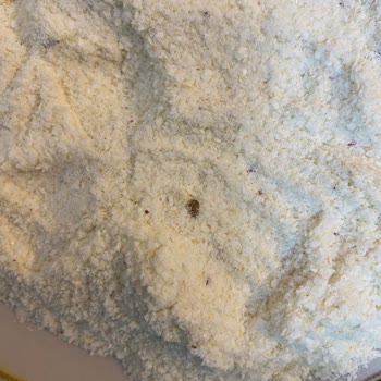 Aptamil Kaşık Mamasından Böcek Çıktı