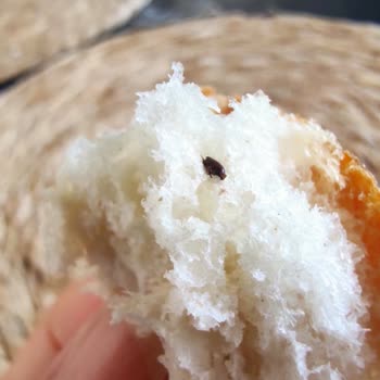 BİM Böcekli Küflü Ekmek!