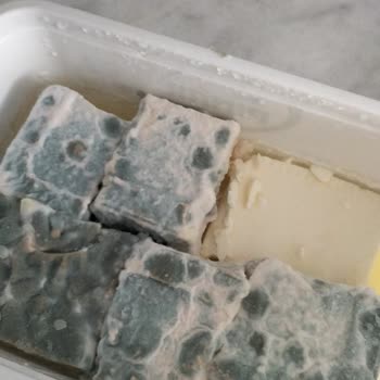 Pınar Et ve Süt Peynirin Küflü Olması