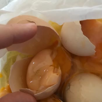 A101 Yumurta Bozuk Çıktı