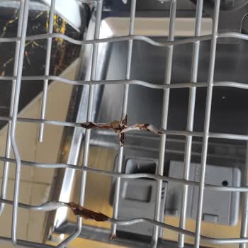 LG Bulaşık Makinesi Tel Paslanması