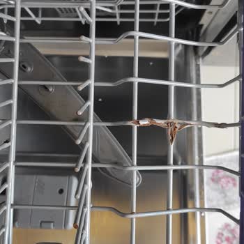 LG Bulaşık Makinesi Tel Paslanması