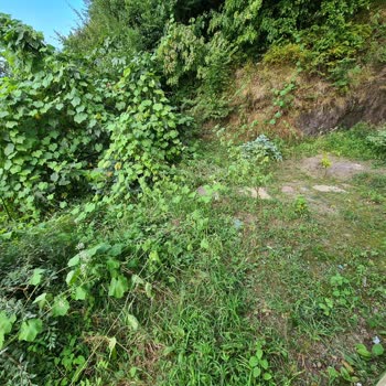 Ecem Profesyonel Apartman ve Site Yönetimi'nin Duyarsızlığı