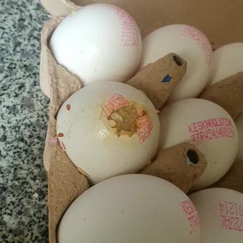 A101 Bozuk Yumurta Gönderip Para İadesi Yapmıyor