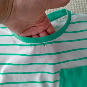 Bosch Çamaşır Makinesi Kıyafetleri Yırtıyor!