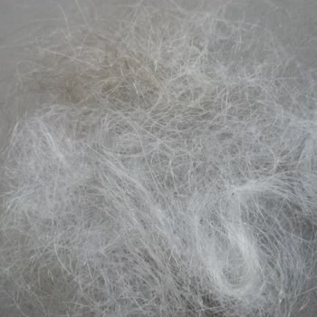 Taha Bozan Hair Palace Yanlış Ve Eksik Hizmet