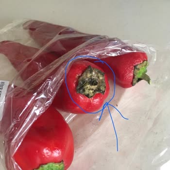 A101 Ürün İadesinin Kabul Edilmemesi