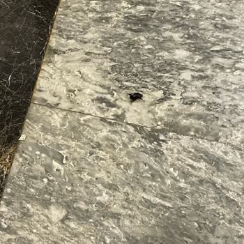 Xanadu Island Bodrum Oteli Hüsranı!