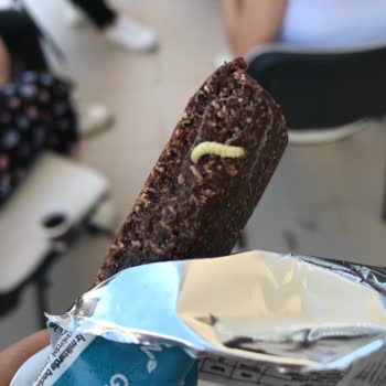 Fellas Protein Bar İçinde Kurt Bulunması