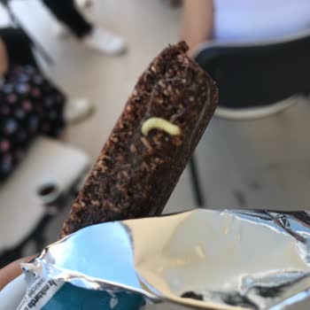 Fellas Protein Bar İçinde Kurt Bulunması