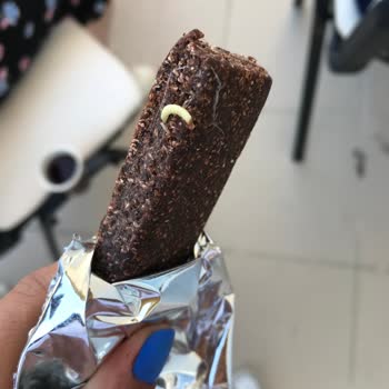 Fellas Protein Bar İçinde Kurt Bulunması