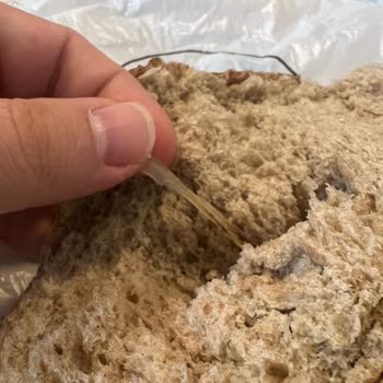 Ekmeğin İçinden Plastik Parçası Çıktı Elif Fırın Pasta (Esenler)