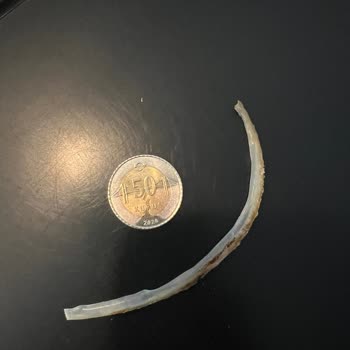 Ekmeğin İçinden Plastik Parçası Çıktı Elif Fırın Pasta (Esenler)