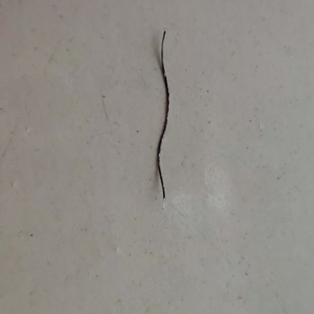 Algida Magnum Bademli Dondurma İçerisinden Çıkan Metal Tel