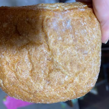 İstanbul Halk Ekmek / Poligon Borsa Binası Yanı