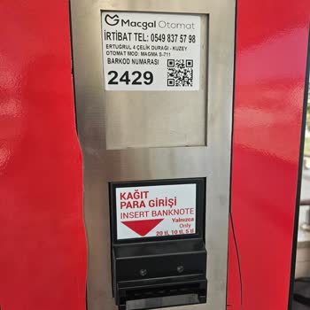 Macgal Otomat Para Yutuyor