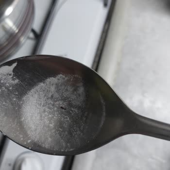 Nuh'un Ankara Makarnası Böceklendi