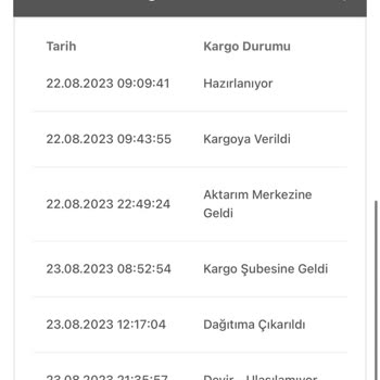 Bir Günde Kargo Firmasının Teslimat Problemi
