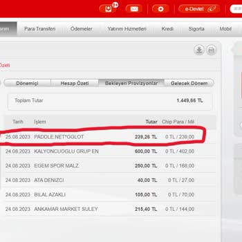 Paddle.net Bilgim Dışında Ödeme...