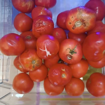 Beko Buzdolabı Soğutma Sorunu!