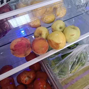 Beko Buzdolabı Soğutma Sorunu!