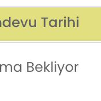 İData Almanya Ulusal Vize Tarih Atanmaması
