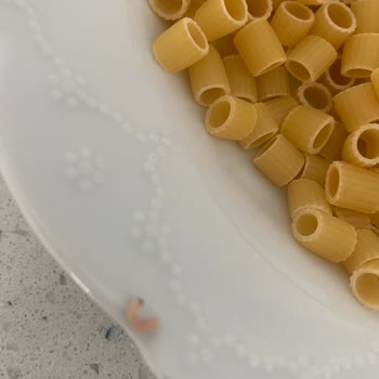 Filiz Makarna Makarnadan Çıkan Kurtlar