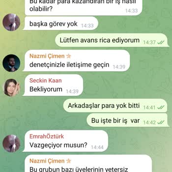 Nielsen Company Hesabımdaki Paramı Vermiyor