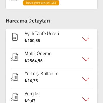 Vodafone Yanımda'da Faturalı Hattımdan 2564 TL'lik Alışveriş Yapılmış