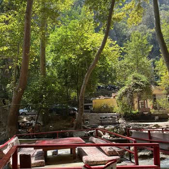 Doktorun Yeri Kayacı Vadisi Pis Bakımsız Bir Yer