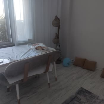 Kelebek Mobilya Koltuk Teslimatı Problemi