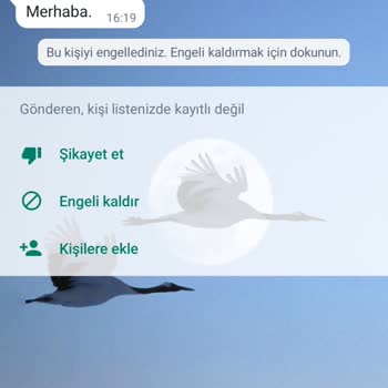 WhatsApp Yurt Dışı Numara