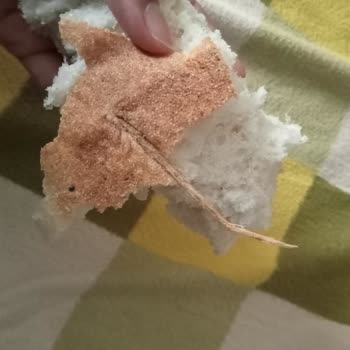 Furpa Marketler Ekmekten Çıkan Sert Sivri Cisim