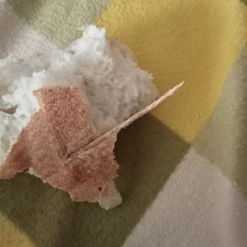 Furpa Marketler Ekmekten Çıkan Sert Sivri Cisim