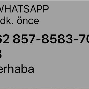 WhatsApp Tan Gelen Mesaj