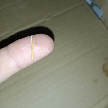 BİM Cipsin İçinden Kürdan Çıkması