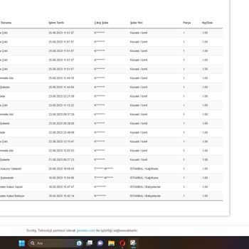 Scotty Kargo Kargomu Bana Ulaştırmayı Beceremedi